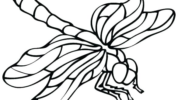 585x329 dragonfly coloring dragonfly coloring