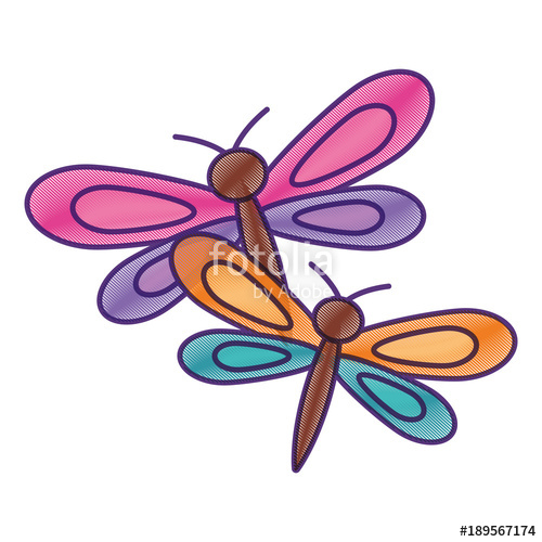 500x500 Two Dragonflies Cute Animal Cartoon Vector Illustration Drawing
