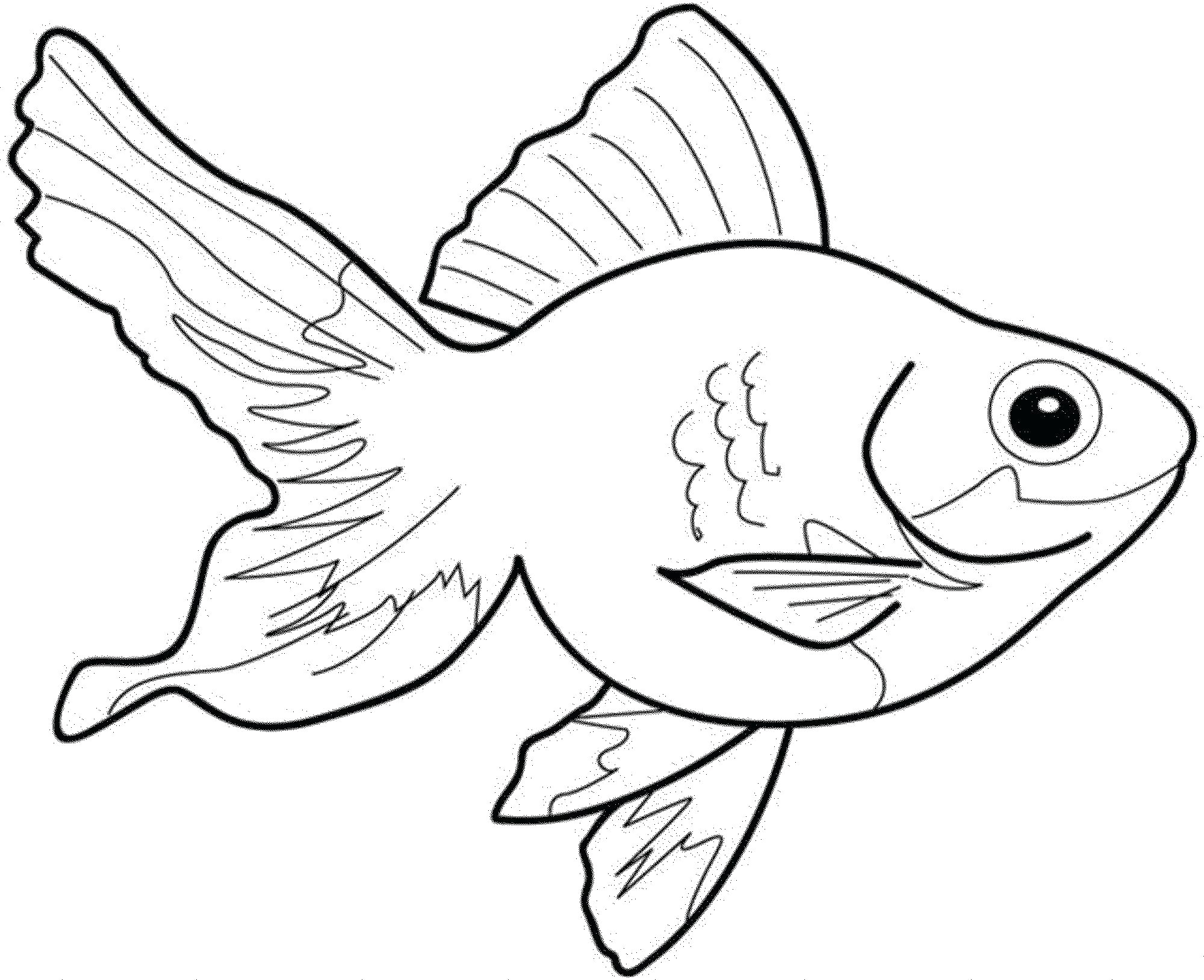 2000x1628 Cute Goldfish Coloring