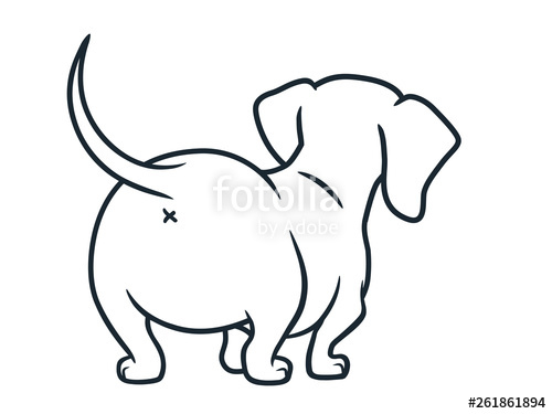 500x375 Cute Dachshund Sausage Dog Vector Cartoon Illustration Isolated