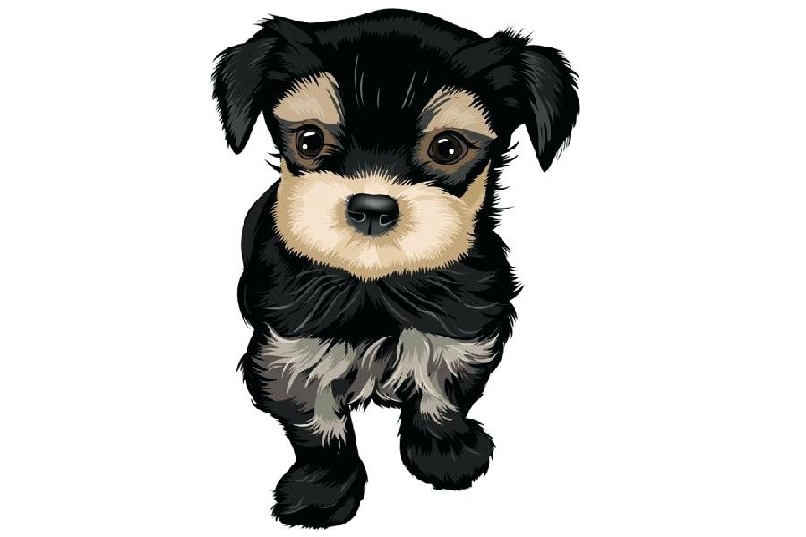 900x600 Drawings Of Cute Puppies