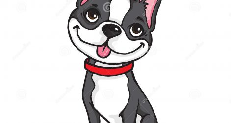 471x250 Cute Boston Terrier Puppy Line Drawing Cartoon Ink Easy Face