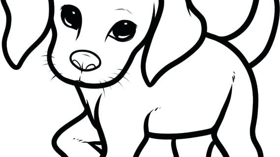 570x320 Cute Puppy Sketches Cute Drawing Of A Puppy How You Draw A Cute