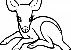 300x210 Images Of Cute Animals Easy To Draw