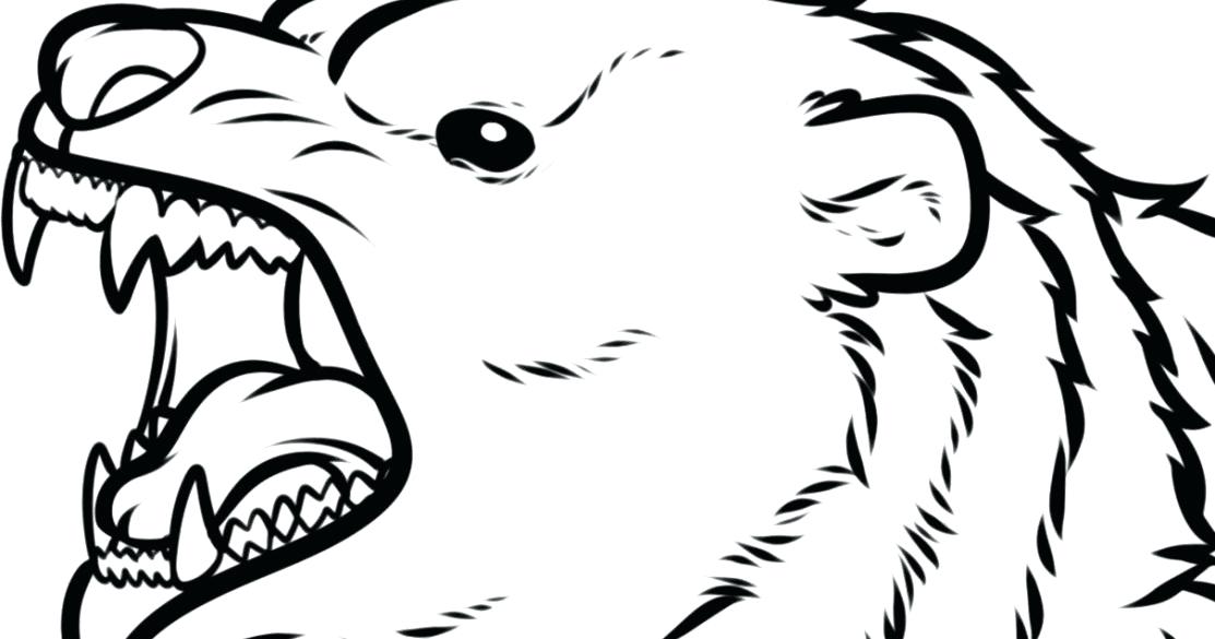 1113x585 bear face drawing bear face drawing google search cute bear face