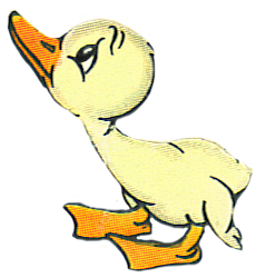 239x250 Collection Of Free Duck Drawing Cute Animal Download On Ui Ex
