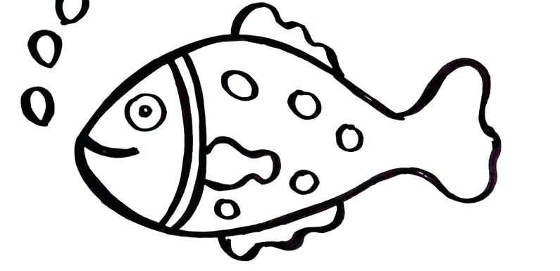 795x385 Cute Fish Drawings