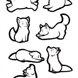 250x250 Cute Wolf Anime Drawings Step