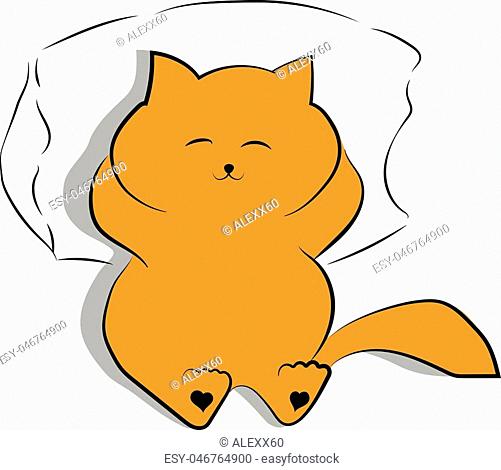 501x470 Fat Cat Sleeps Stock Photos And Images Age Fotostock