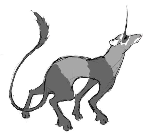 599x580 Ferret Drawing Free Download