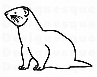 340x270 Ferret Etsy