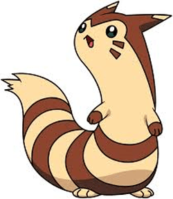 250x288 How To Draw Furret From Pokemon With Easy Steps Drawing Lesson