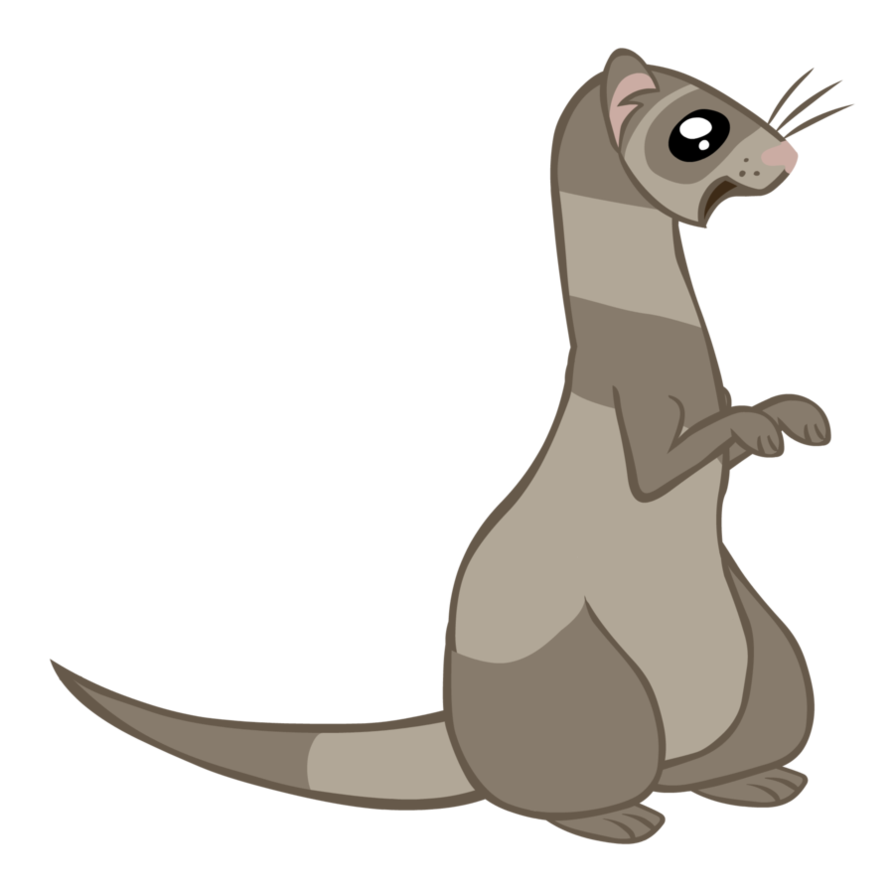 894x894 Collection Of Free Weasel Drawing Cute Download On Ui Ex
