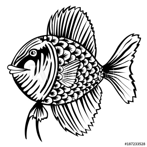 500x500 Cartoon Of Cute Fish Outline Drawing