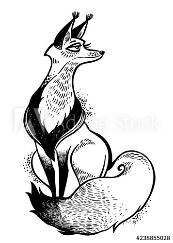 357x500 Cute Fox Illustration Decorative Line Art Drawing