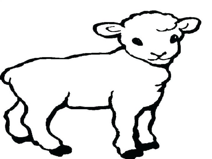 728x546 Cute Baby Goat Coloring Pages Sheets Free Printable Billy Goats