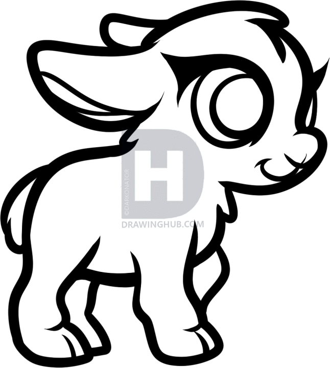 646x720 How To Draw A Baby Goat, Step