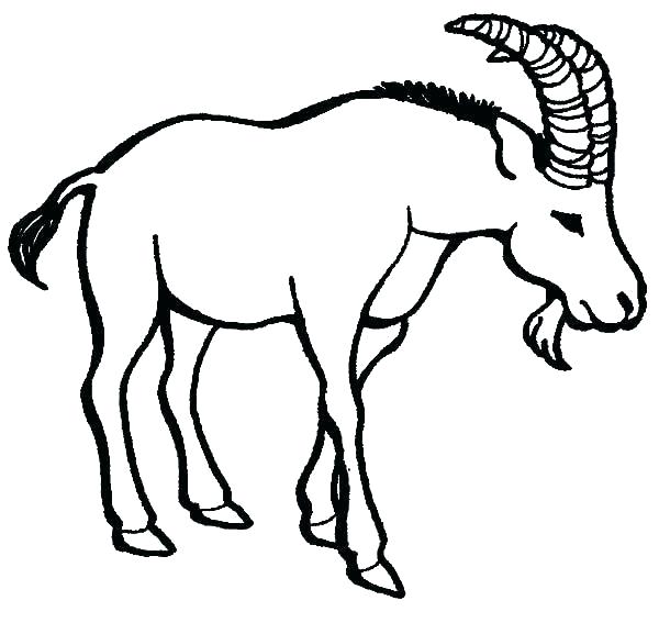 600x577 Goat Coloring Pictures