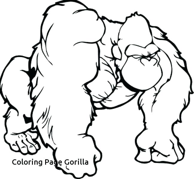 649x600 Gorilla Coloring Pages
