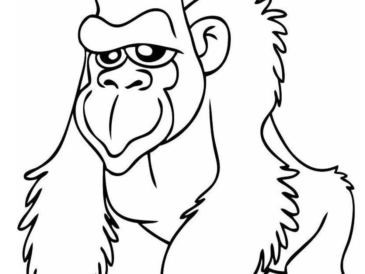 1200x900 Archaicawfulilla Coloring Pages In Jungle