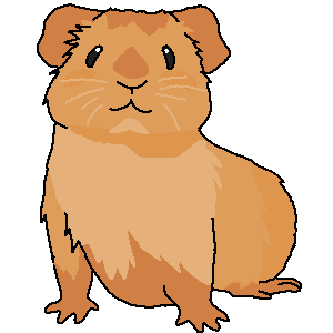300x300 Guinea Pig Blink