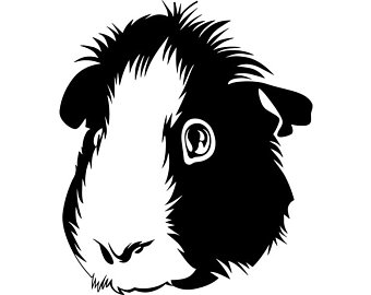 340x270 Guinea Pig Cage Art Etsy