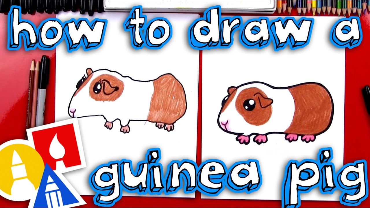1280x720 How To Draw A Guinea Pig