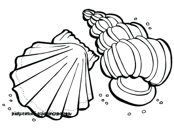 600x442 Cute Pig Coloring Pages
