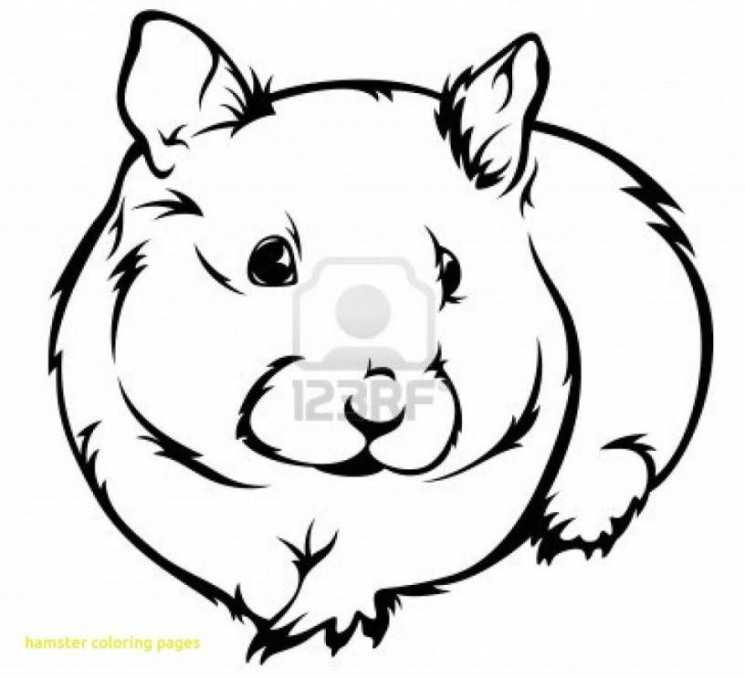 816x743 Cute Hamster Coloring Pages New Hamtaro Okini Cute