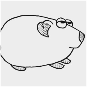 300x300 guinea pig coloring pages best pin cute hamster guinea pig big