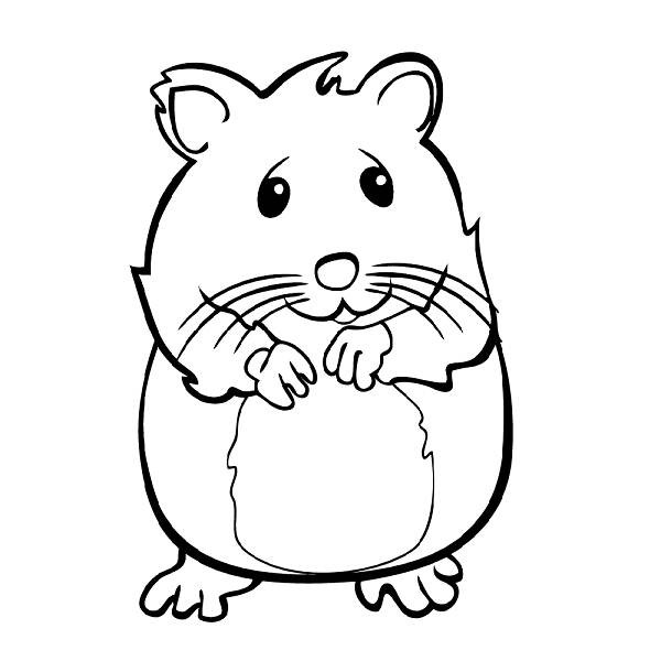 Cute Hamster Drawing | Free download on ClipArtMag