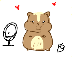 300x250 Cute Hamster