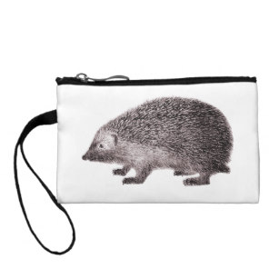307x307 Cute Hedgehog Drawing Accessories