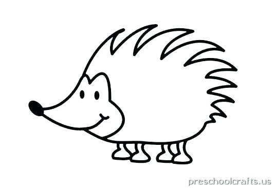 535x366 Hedgehog Coloring