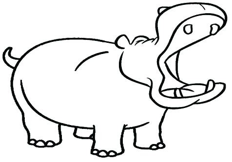 476x333 Coloring Pages Of Cute Hippos Hippo Drawing At Free For Personal