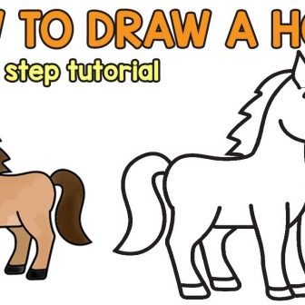 336x336 Cartoon Horse Drawing Cute Animal Sketches Instructions Eyes