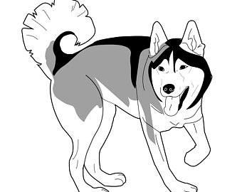340x270 Husky Illustration Etsy