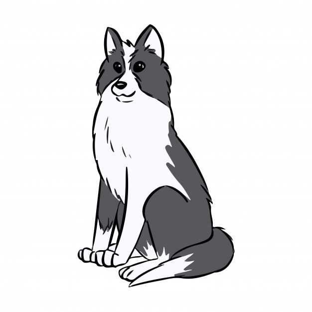 Cute Husky Drawing | Free download on ClipArtMag