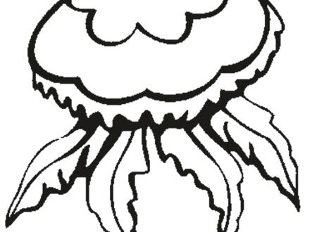 440x330 Dazzling Design Ideas Cute Jellyfish Coloring Pages Box
