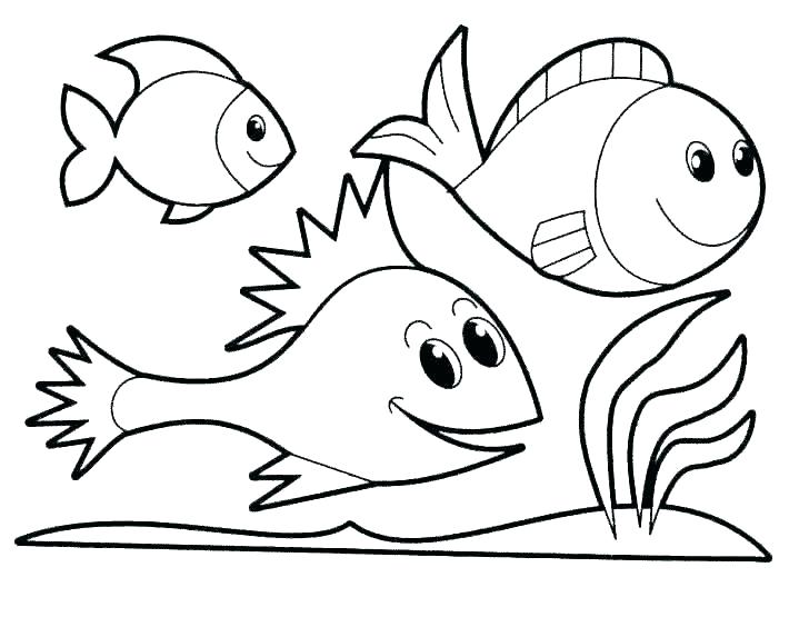 728x555 Coloring Fish Games