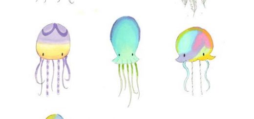 520x245 Jellyfish Illustration