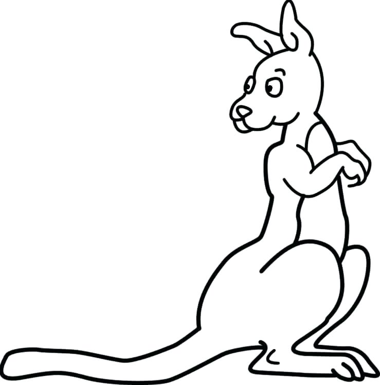 739x750 Kangaroo Drawing Free Download