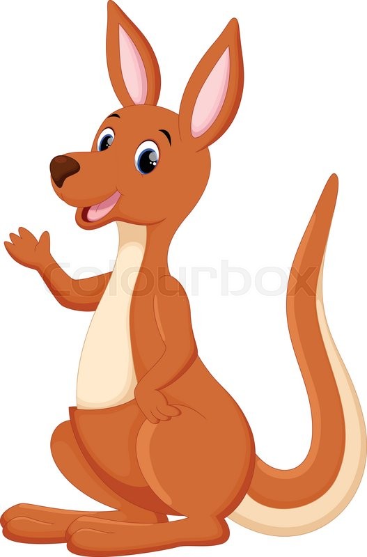 527x800 Vector Illustration Of Cute Kangaroo Stock Vector Colourbox