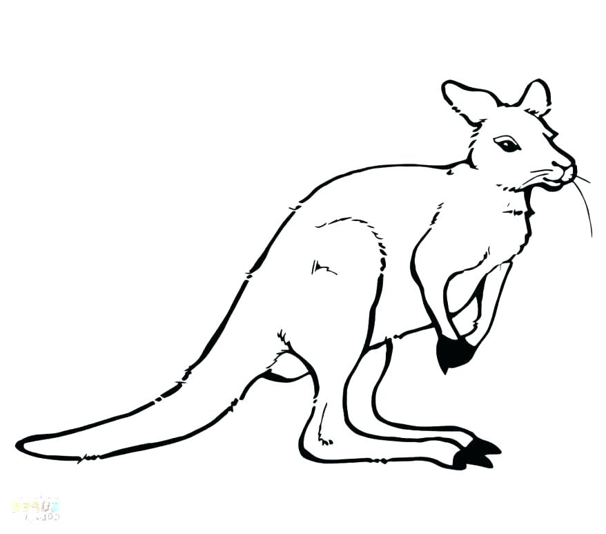 Cute Kangaroo Drawing | Free download on ClipArtMag