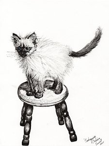 225x300 Cute Kitten Drawings Pixels