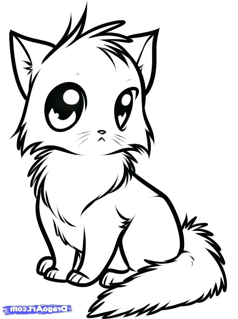 765x1024 Cute Kitten Drawings
