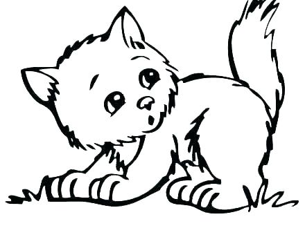 440x330 Cute Kitty Coloring Pages