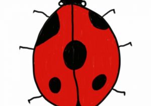 300x210 Lady Bug Drawing Cute Ladybug Drawings