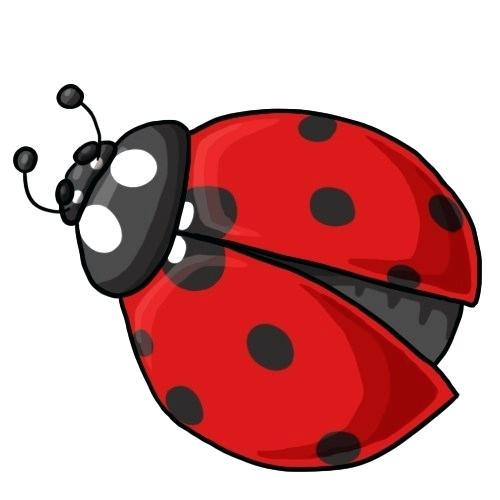 500x500 Lady Bug Drawings Cute Ladybug Drawings
