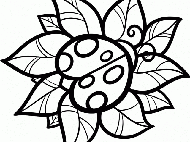 640x480 Ladybug Clipart Cute Drawing